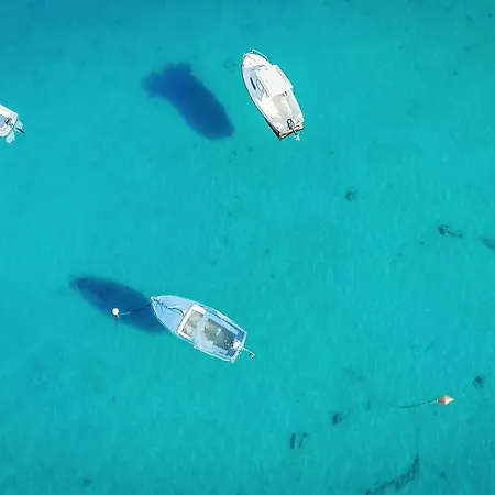 Design Noble With Bale