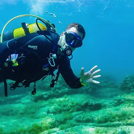 Design Noble With Villa Bale