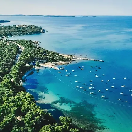 Design Noble With Villa Bale