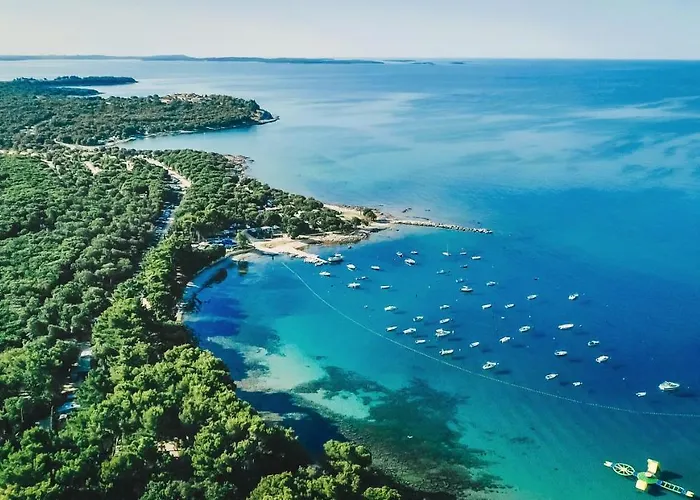 Design Noble With 빌라 발