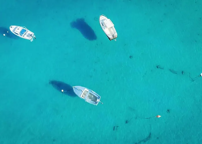 Design Noble With Bale