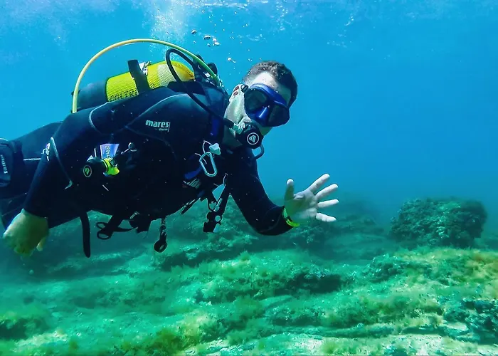 Design Noble With Villa Bale